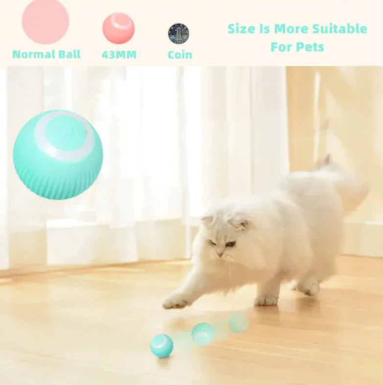 Brinquedo Inteligente Bola para Gatos - Essential