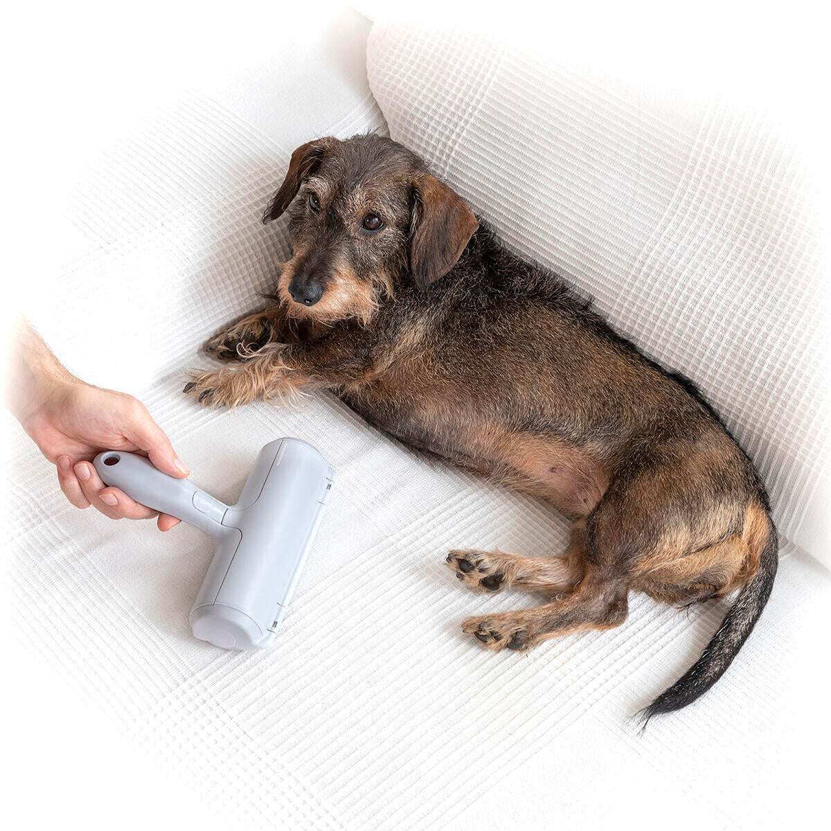 Rolo Removedor de Pelos para Animais