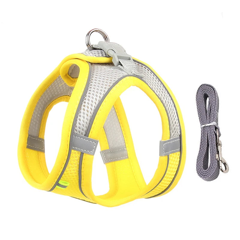 PawHarness™ – A comfortable harness that ensures safety and control on every walk