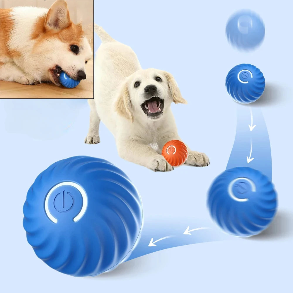 PawMotion™ – An interactive toy that rolls and stimulates your pet’s hunting instinct