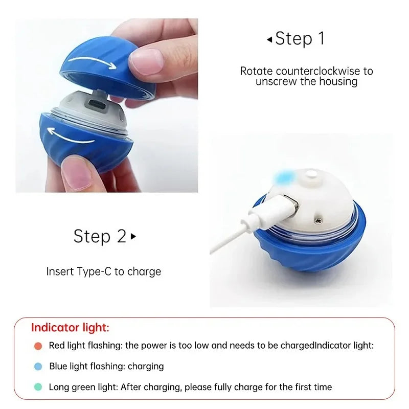 PawMotion™ – An interactive toy that rolls and stimulates your pet’s hunting instinct