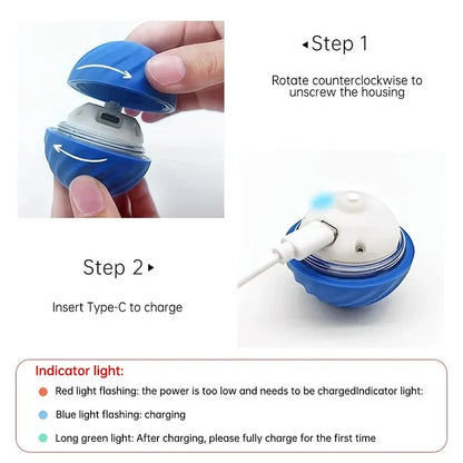 PawMotion™ – An interactive toy that rolls and stimulates your pet’s hunting instinct