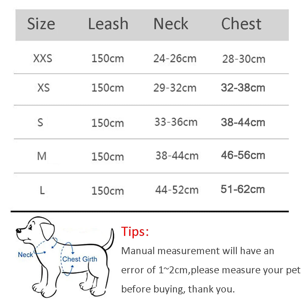 PawHarness™ – A comfortable harness that ensures safety and control on every walk