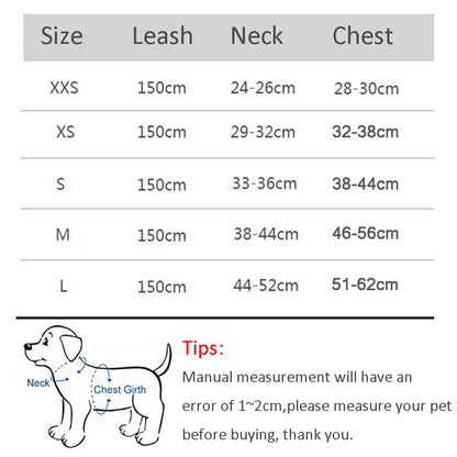 PawHarness™ – A comfortable harness that ensures safety and control on every walk