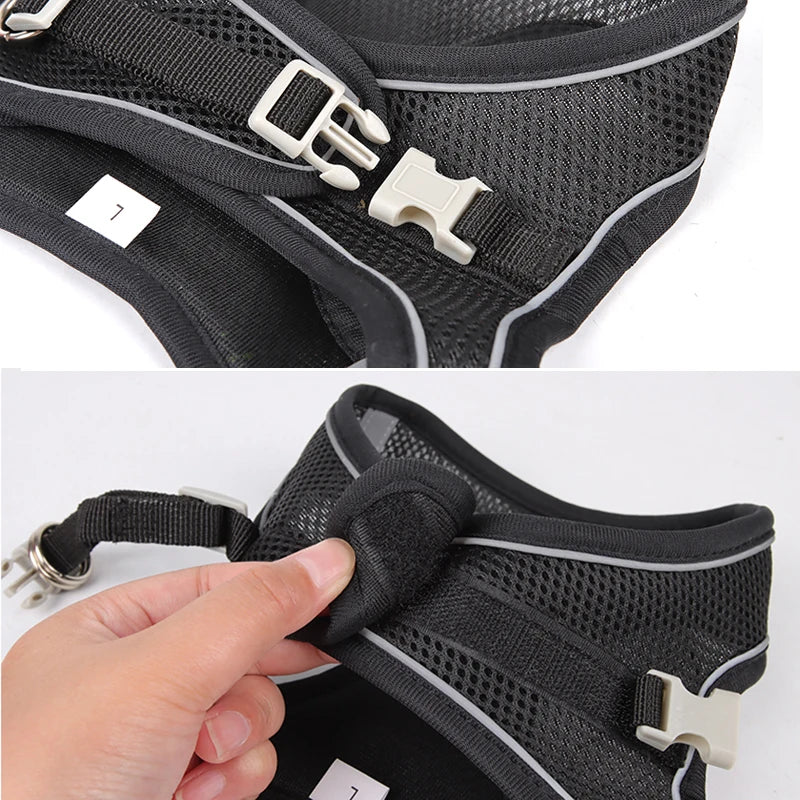 PawHarness™ – A comfortable harness that ensures safety and control on every walk