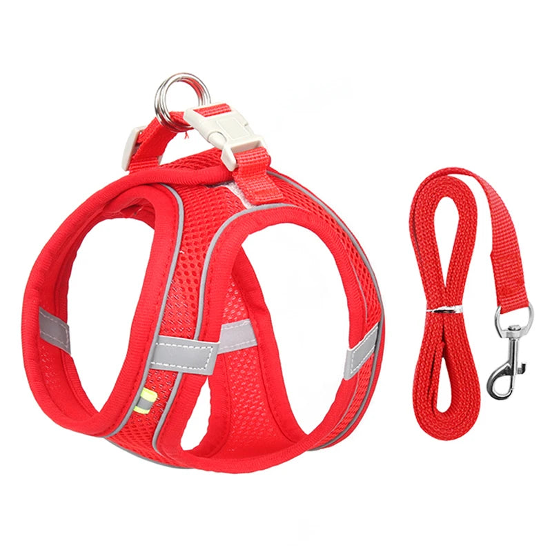 PawHarness™ – A comfortable harness that ensures safety and control on every walk