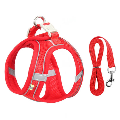 PawHarness™ – A comfortable harness that ensures safety and control on every walk