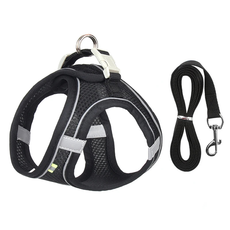 PawHarness™ – A comfortable harness that ensures safety and control on every walk