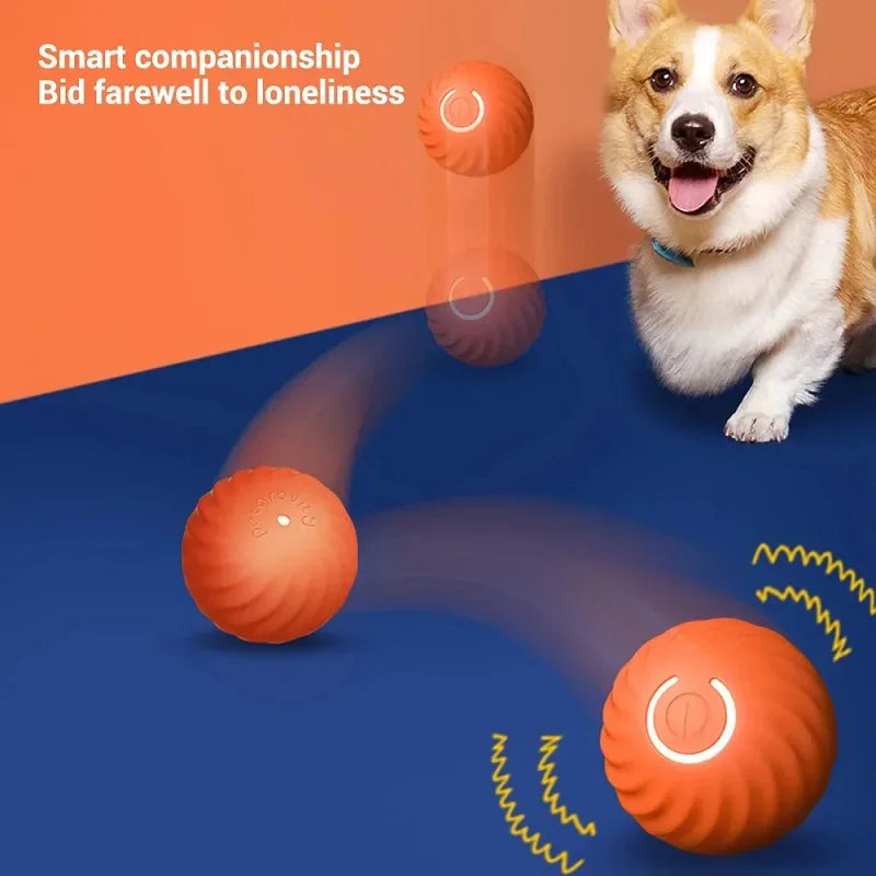 PawMotion™ – An interactive toy that rolls and stimulates your pet’s hunting instinct
