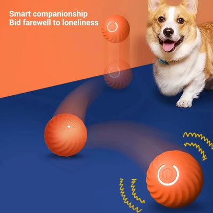 PawMotion™ – An interactive toy that rolls and stimulates your pet’s hunting instinct