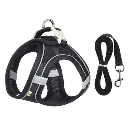 PawHarness™ – A comfortable harness that ensures safety and control on every walk