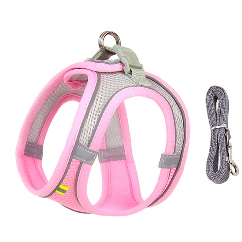PawHarness™ – A comfortable harness that ensures safety and control on every walk