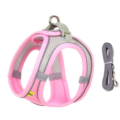 PawHarness™ – A comfortable harness that ensures safety and control on every walk