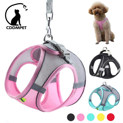PawHarness™ – A comfortable harness that ensures safety and control on every walk