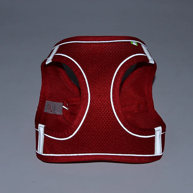 PawHarness™ – A comfortable harness that ensures safety and control on every walk