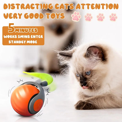PurrMotion™ – Automatic movement that keeps your cat active and entertained