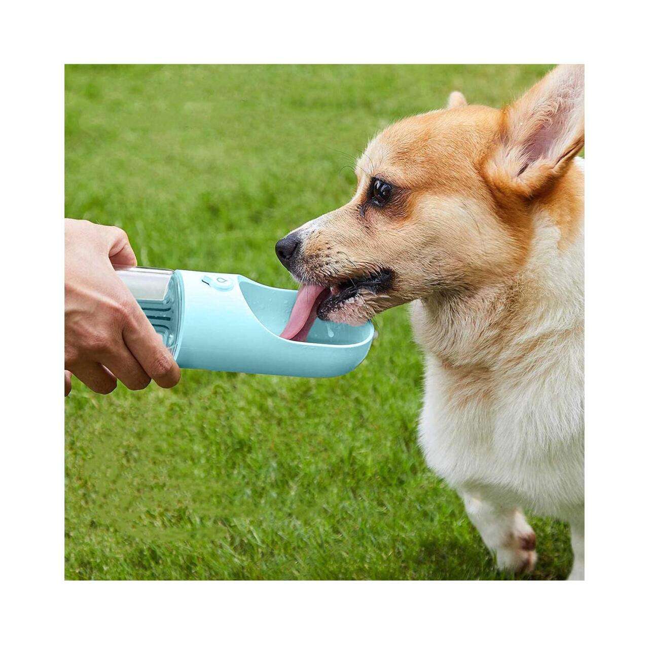 Garrafa portátil para pets